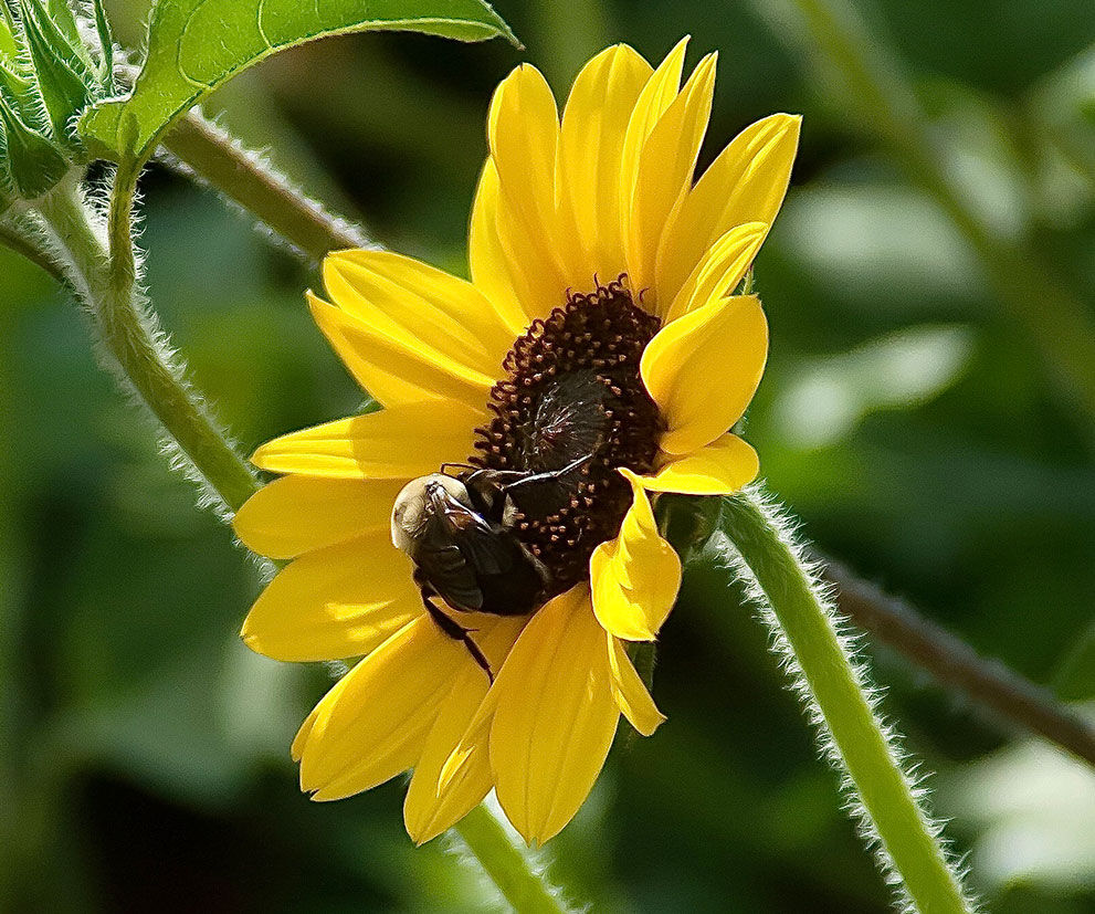 LIFE-HOME-ONGARDENING-MCT